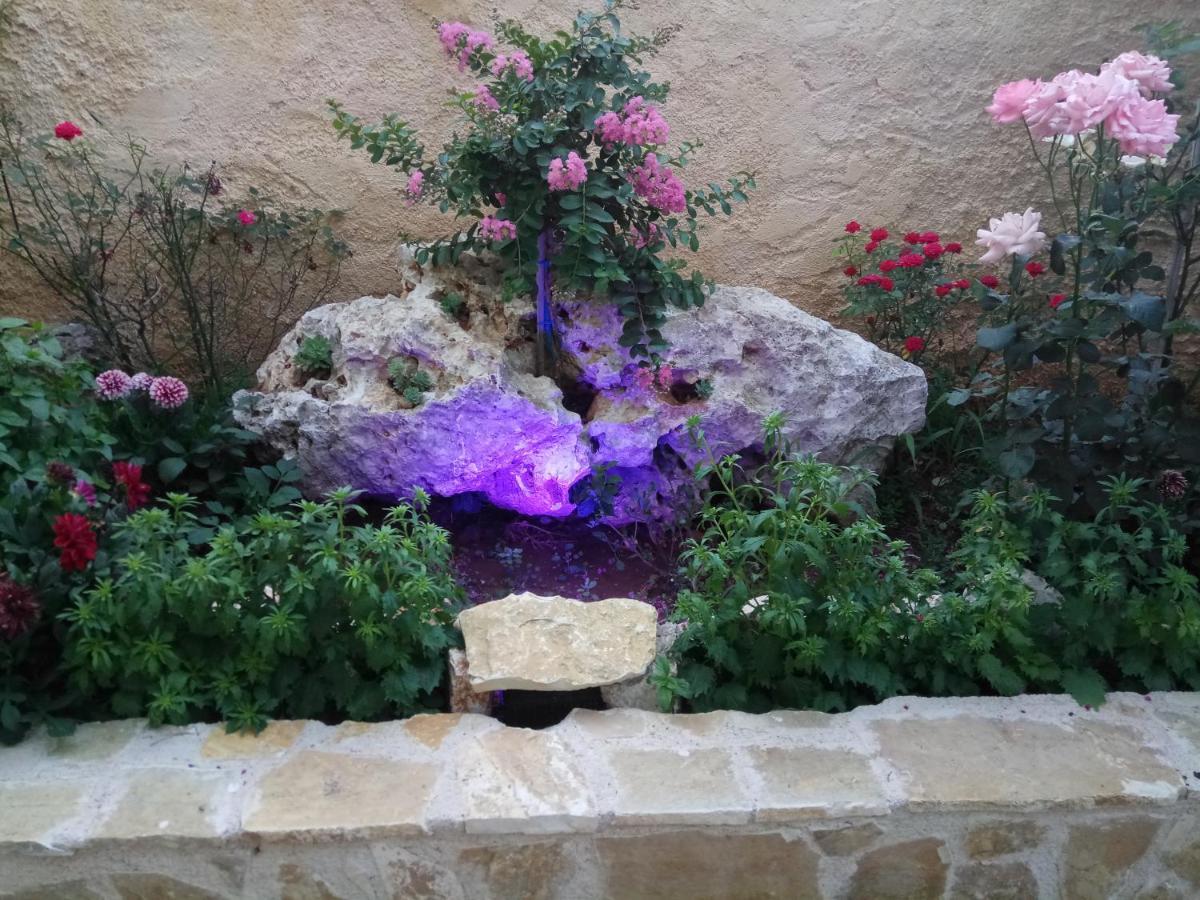 فندق Xenonas Κithαiron Vília المظهر الخارجي الصورة