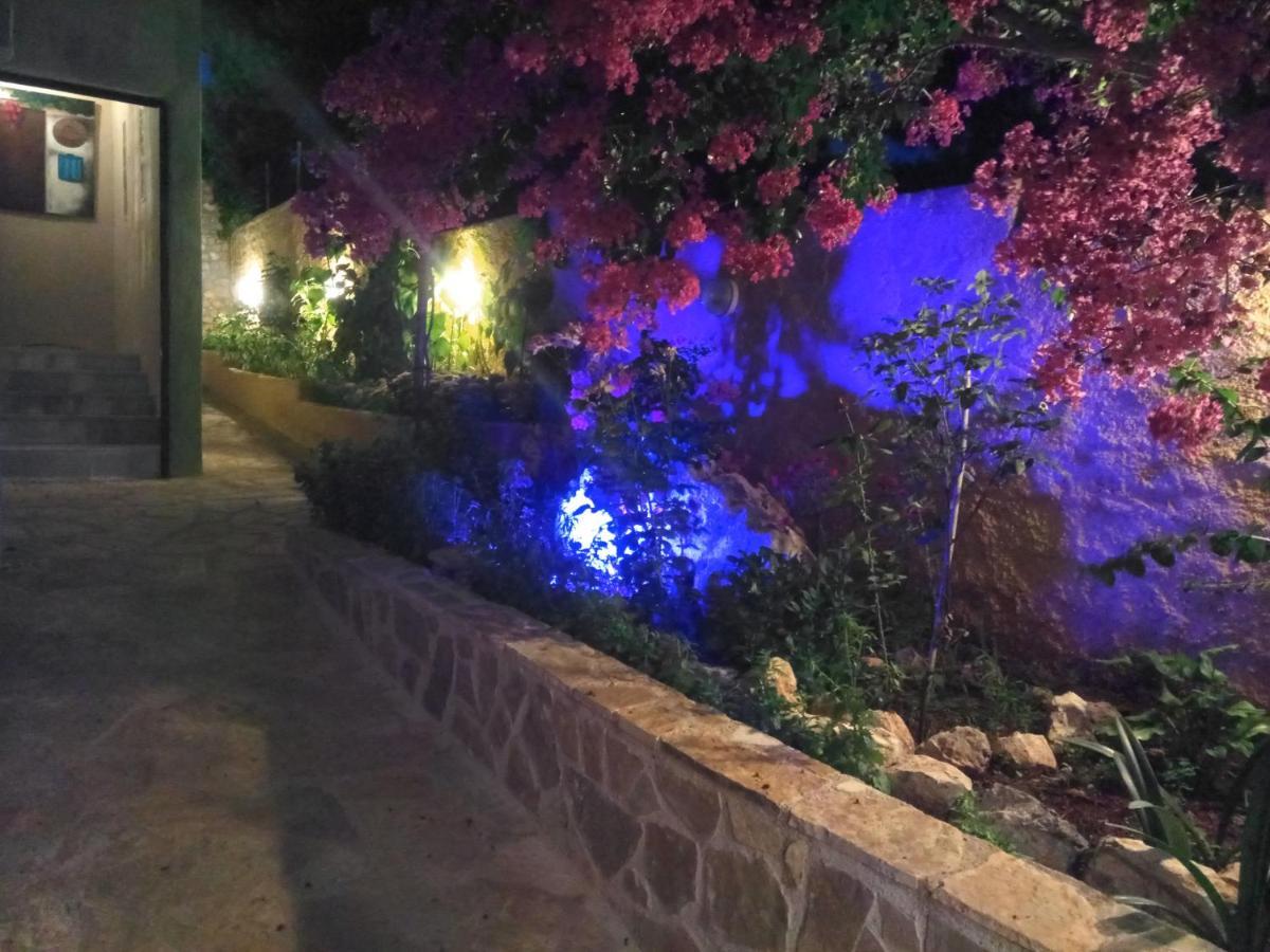 فندق Xenonas Κithαiron Vília المظهر الخارجي الصورة